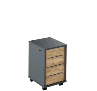 RIOMA NEW grafit/dub artisan 30, kontajner so zámkom