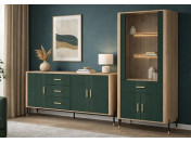 DANTE zelený sektorový nábytok